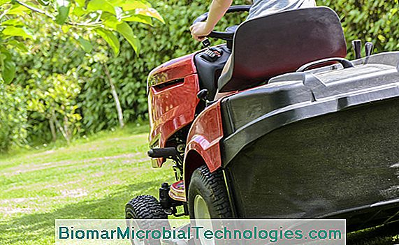 How to choose your lawn tractor: tips, models and cost