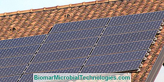 Güneş Enerjisi: Fotovoltaiklerin Evine Adımını Atmalı Mıyız?