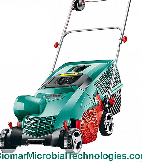 Grass Moss: Wie man es leicht beseitigt? - Rasen Motor-Vertikutierer