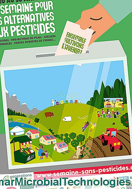 A peszticidekkel kapcsolatos alternatívák 12. hete