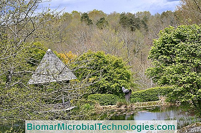 5 Bons endereços de jardins para visitar em Creuse - jardim Arboreto Sedel