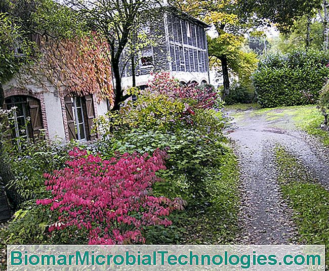 5 Bons endereços de jardins para visitar em Creuse - para Nicole's Garden