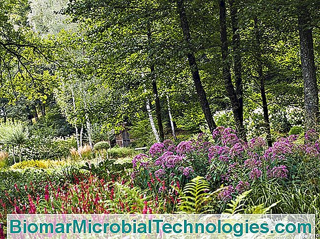 5 Bons endereços de jardins para visitar em Creuse - jardim Val Maubrune, Creuse