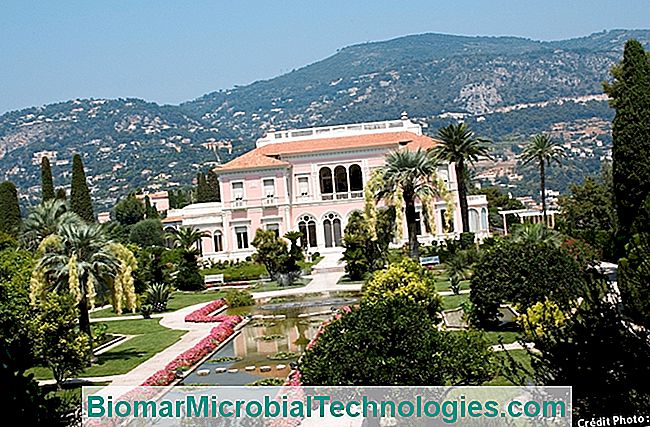 I bei giardini della Riviera - Nizza villa ephrussi