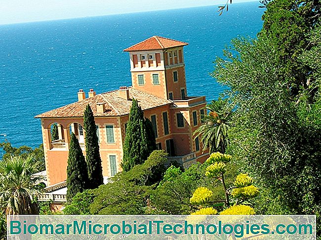 I bei giardini della Riviera - della Ventimiglia Hanbury