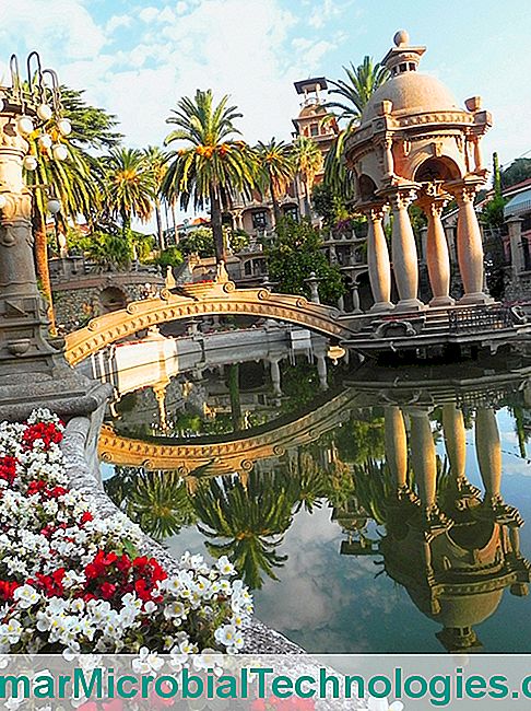 I bei giardini della Riviera - giardini san remo imperia villa grock