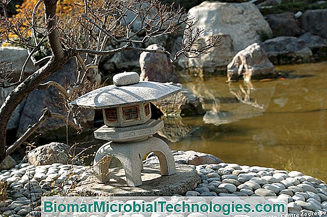 I bei giardini della Riviera - giardini Giardino giapponese a Monaco