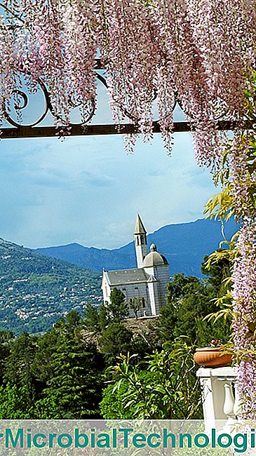 I bei giardini della Riviera - riviera villa kilauea