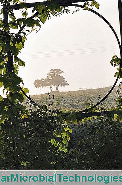 Janela na paisagem