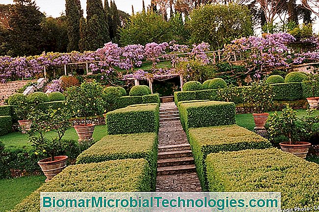 Os mais belos jardins da Itália - jardim