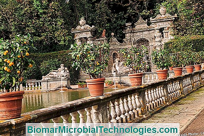 Os mais belos jardins da Itália - jardim
