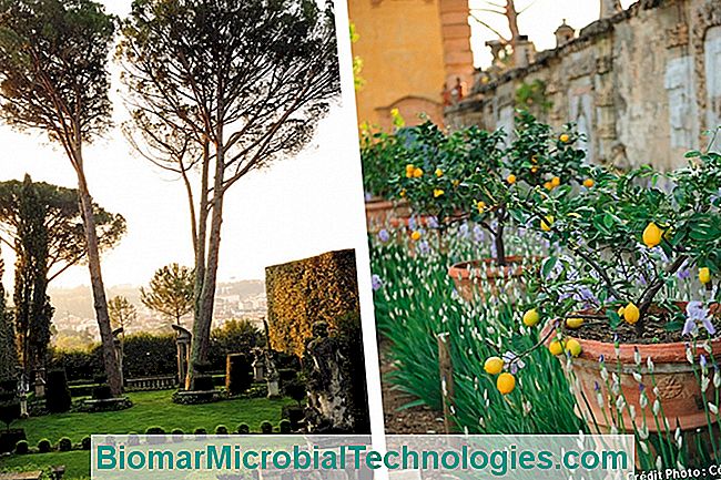 Os mais belos jardins da Itália - jardins
