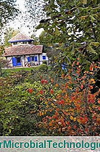 Casa din grădina de lemn de marmură