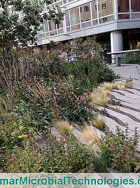 Sétálj New York magasvonalán - növények High Line, talajművelés