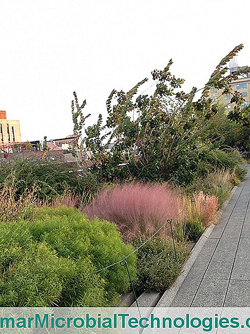 Sétálj New York magasvonalán - High High Line, séta és masszázs